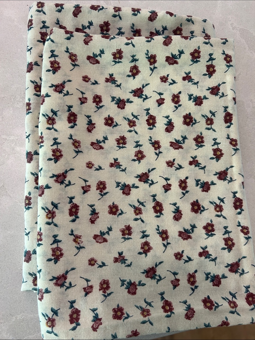 Pair of Vintage Floral Twin Pillowcase Covers